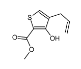 methyl 3-hydroxy-4-prop-2-enylthiophene-2-carboxylate Structure