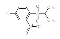 4-chloro-2-nitro-1-propan-2-ylsulfonyl-benzene结构式