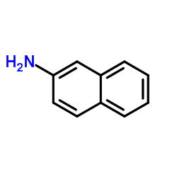 Naphthalen-2-amine picture