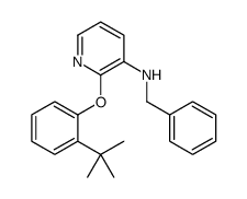 N-benzyl-2-(2-tert-butylphenoxy)pyridin-3-amine结构式