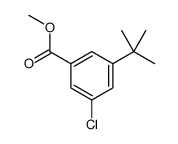 methyl 3-tert-butyl-5-chlorobenzoate结构式