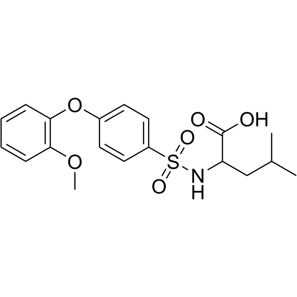 N-[4-(2-甲氧基苯氧基)苯基磺酰基]-DL-亮氨酸图片