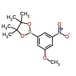 2-(3-Methoxy-5-nitrophenyl)-4,4,5,5-tetramethyl-1,3,2-dioxaborolane picture