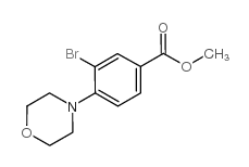 METHYL 3-BROMO-4-MORPHOLINOBENZOATE structure