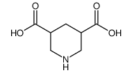 piperidine-3,5-Dicarboxylic Acid结构式