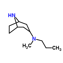 N-Methyl-N-propyl-8-azabicyclo[3.2.1]octan-3-amine Structure