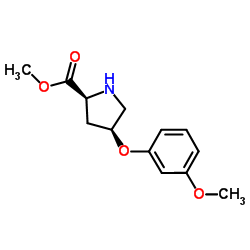 Methyl (4S)-4-(3-methoxyphenoxy)-L-prolinate结构式