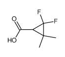 Cyclopropanecarboxylic acid, 2,2-difluoro-3,3-dimethyl- (9CI) Structure