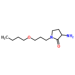 3-Amino-1-(3-butoxypropyl)-2-pyrrolidinone Structure