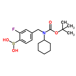 (4-(((tert-butoxycarbonyl)(cyclohexyl)amino)Methyl)-2-fluorophenyl)boronic acid picture