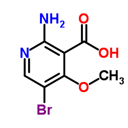 2-Amino-5-bromo-4-methoxynicotinic acid结构式