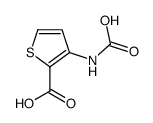 2-Thiophenecarboxylicacid,3-(carboxyamino)-(9CI) Structure