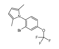 1-[2-BROMO-4-(TRIFLUOROMETHOXY)PHENYL]-2,5-DIMETHYL-1H-PYRROLE picture