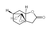 4H-3a,6-Methanobenzofuran-2(3H)-one, tetrahydro-8,8-dimethyl-结构式