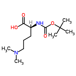 (S)-2-[(叔丁氧羰基)氨基]-5-(二甲基氨基)戊酸结构式
