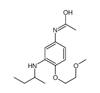 N-[3-(butan-2-ylamino)-4-(2-methoxyethoxy)phenyl]acetamide Structure