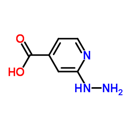 2-Hydrazinonicotinic acid Structure