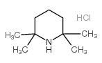 2,2,6,6-TETRAMETHYLPIPERIDINE HYDROCHLORIDE structure