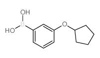 (3-(Cyclopentyloxy)phenyl)boronic acid picture