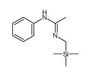 N-phenyl-N'-(trimethylsilylmethyl)ethanimidamide结构式