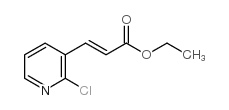 3-(2-chloro-pyridin-3-yl)-acrylic acid ethyl ester picture