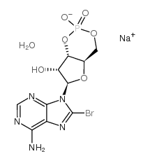 8-BROMOADENOSINE-3',5'-CYCLIC MONOPHOSPHATE SODIUM SALT HYDRATE structure