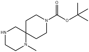 tert-Butyl 1-methyl-1,4,9-triazaspiro[5.5]undecane-9-carboxylate结构式