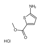5-Amino-2-thiophenecarboxylic acid methyl ester hydrochloride structure