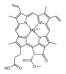 2,4-divinylprotochlorophyllide Structure