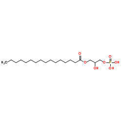 1-Palmitoyl Lysophosphatidic Acid结构式