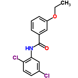 N-(2,5-Dichlorophenyl)-3-ethoxybenzamide结构式