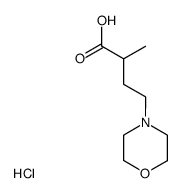 2-methyl-4-morpholin-4-yl-butyric acid, hydrochloride Structure