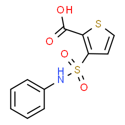 2-THIOPHENECARBOXYLIC ACID, 3-[(PHENYLAMINO)SULFONYL]- structure