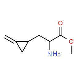 Cyclopropanepropanoic acid,-alpha--amino-2-methylene-,methyl ester Structure