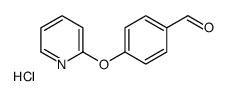 4-(PYRIDIN-2-YLOXY)BENZALDEHYDE HCL结构式