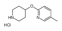 5-甲基-2-(4-哌啶基氧基)吡啶盐酸盐结构式