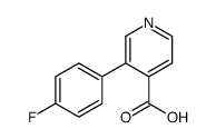 3-(4-Fluorophenyl)isonicotinic acid picture