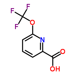 6-(Trifluoromethoxy)-2-pyridinecarboxylic acid picture