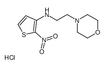 N-(2-morpholin-4-ylethyl)-2-nitro-thiophen-3-amine hydrochloride Structure