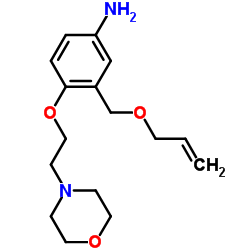 3-(allyloxyMethyl)-4-(2-Morpholinoethoxy)aniline structure