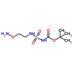 2-Methyl-2-propanyl {[2-(aminooxy)ethyl]sulfamoyl}carbamate结构式