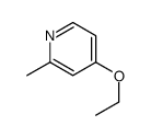 4-ethoxy-2-methylpyridine结构式