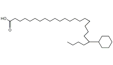 Cycolhexylpentacosanoic acid Structure