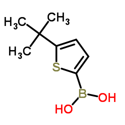 [5-(1,1-二甲基乙基)-2-噻吩基]-硼酸结构式