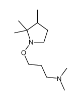 N,N-Dimethyl-3-[(2,2,3-trimethylpyrrolidin-1-yl)oxy]-1-propanamine结构式