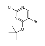 5-bromo-2-chloro-4-[(2-methylpropan-2-yl)oxy]pyrimidine结构式