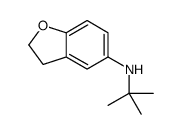 N-tert-butyl-2,3-dihydro-1-benzofuran-5-amine结构式