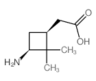 Cyclobutaneaceticacid, 3-amino-2,2-dimethyl-, (1R,3R)-rel- picture