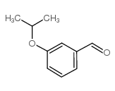 3-ISOPROPOXY-BENZALDEHYDE picture