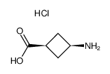 hydrochloride of cis-3-aminocyclobutane-1-carboxylic acid picture